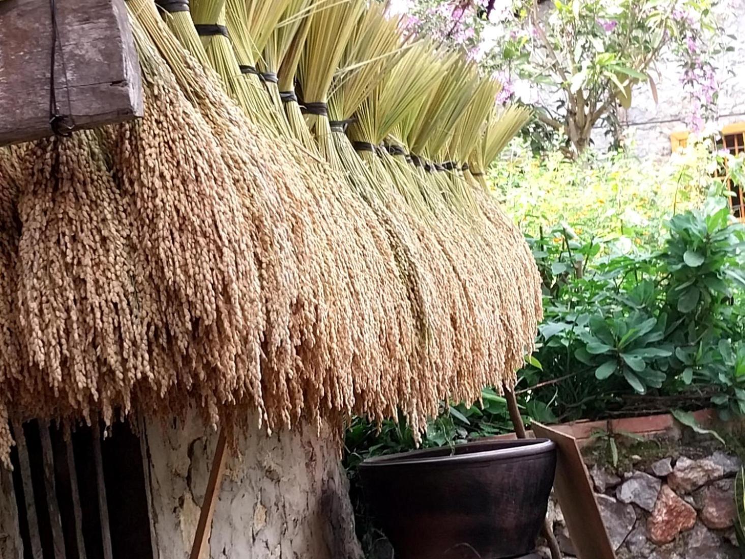 Trieu Hoan Homestay Cao Bang Exteriör bild