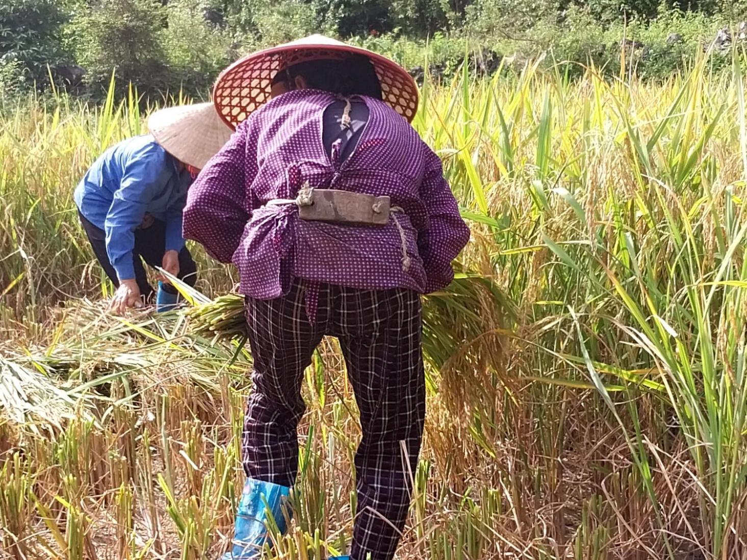 Trieu Hoan Homestay Cao Bang Exteriör bild